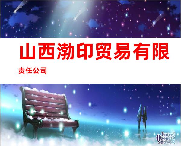 山西渤印贸易有限责任公司