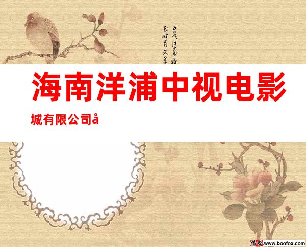 海南洋浦中视电影城有限公司儋州分公司
